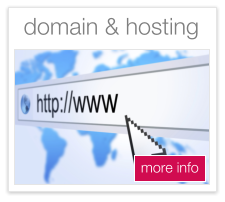 domains and hosting plymouth