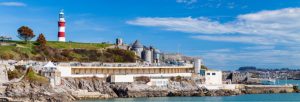 Website designers Plymouth
